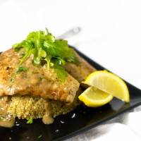 Tilapia with a 4-Herb White Wine Sauce